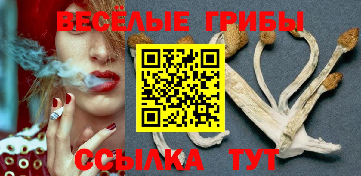 Мефедрон  МДМА  Меф МЯУ МЯУ кристаллы  Димитровград  Гашиш  Cocaine  ЭКСТАЗИ  А ПВП СК   Вход с VPN 